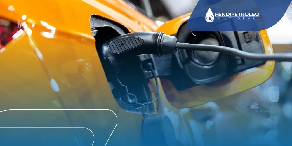 precios-de-los-combustibles-liquidos-mayo-2025