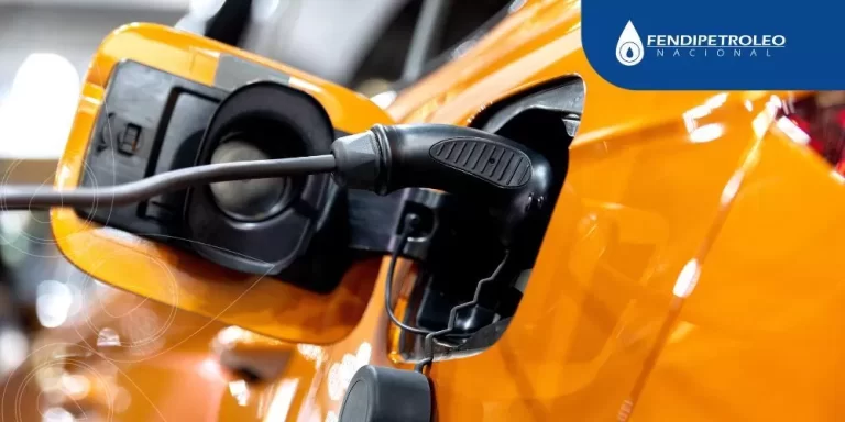 canal-minorista-paradoja-combustibles